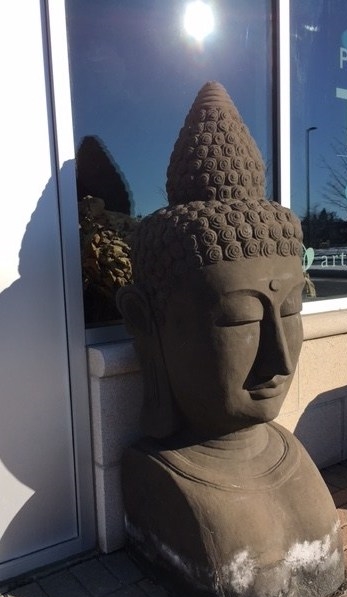 buddha waits 2