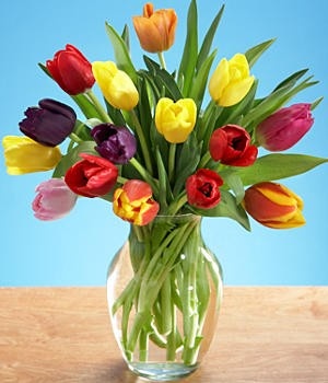 57c7cee1a7d92af8579ff422bed20e57