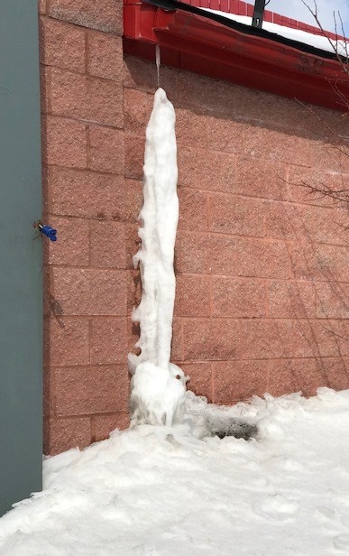 march 3 mcDonalds Innis