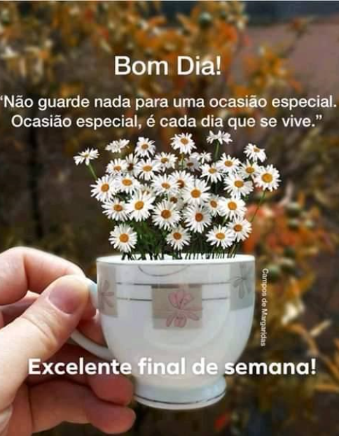 excellent end of week