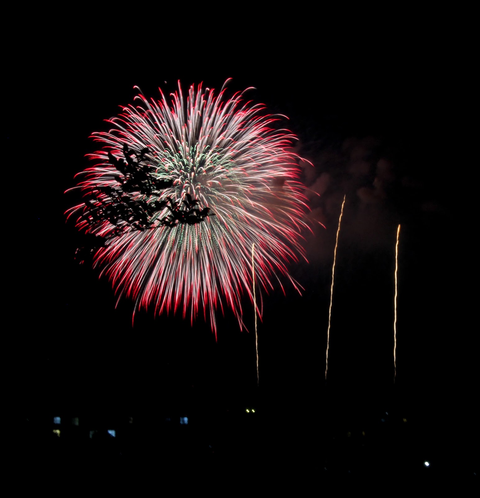 fireworks 2015 MG_3540