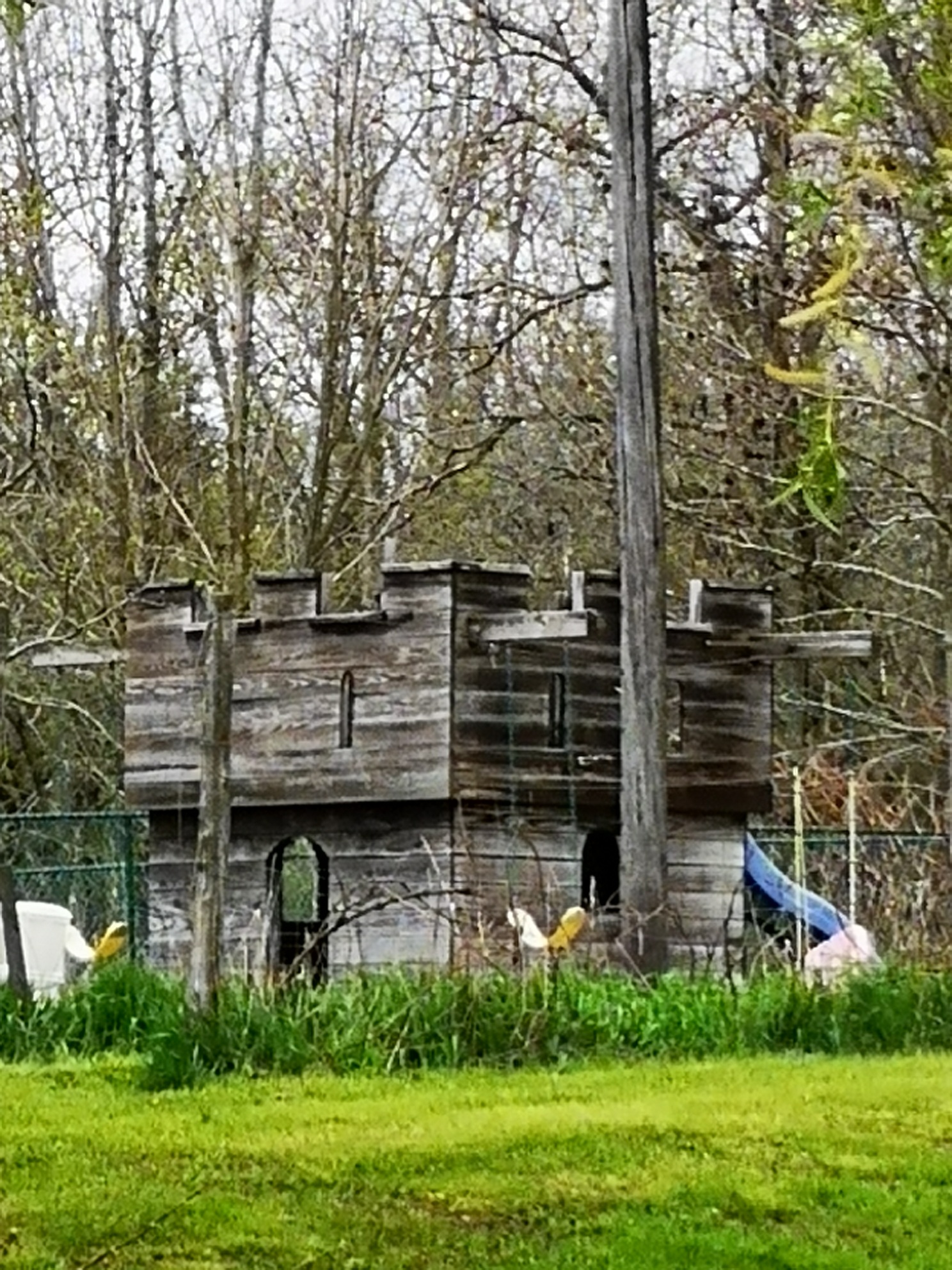 IMG_20190514_125311_resized_20190515_120012809