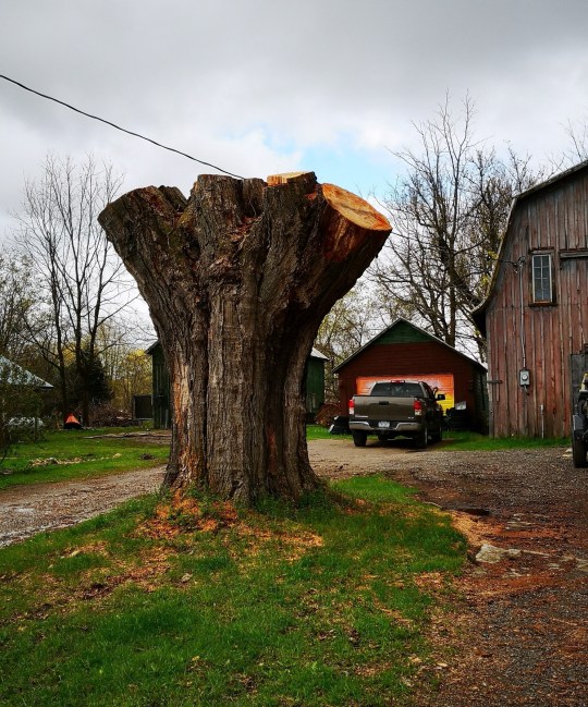 IMG_20190514_125838_resized_20190514_115853004