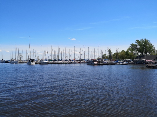 lakeshore marina in the harbour