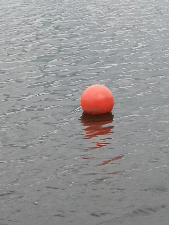 IMG_20190717_124600_resized_20190717_023524243