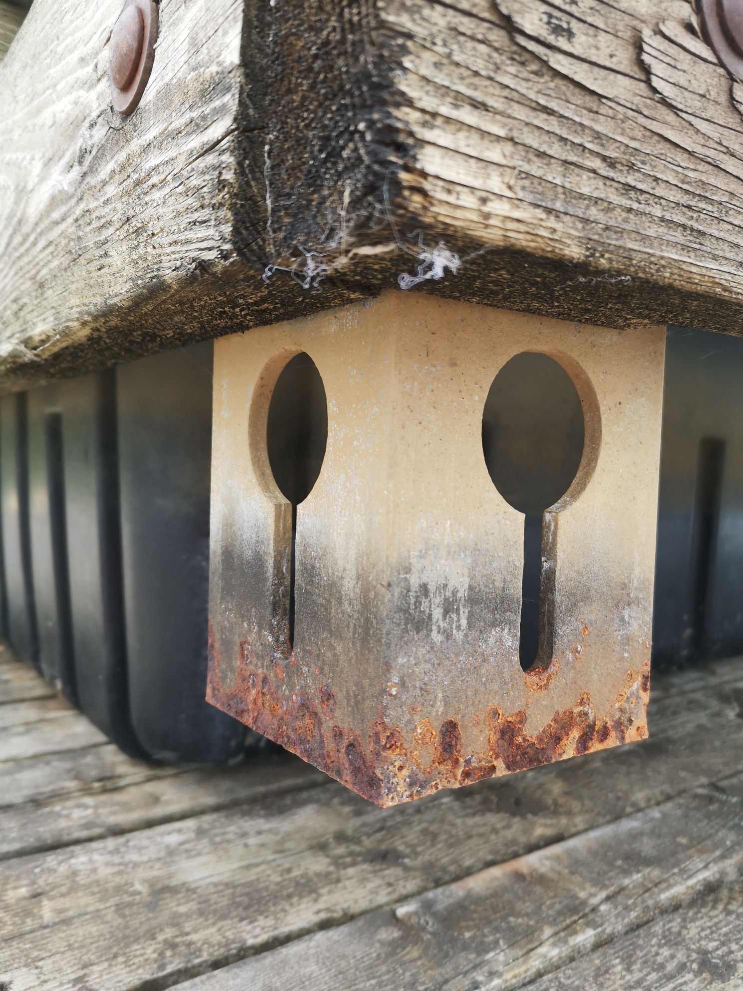 IMG_20190717_124937_resized_20190717_023250129