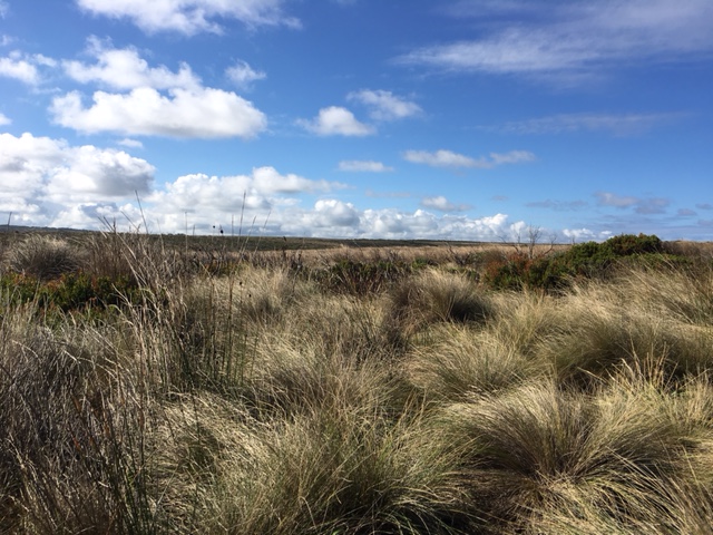 V Lock Ard Gorge 4.25.17