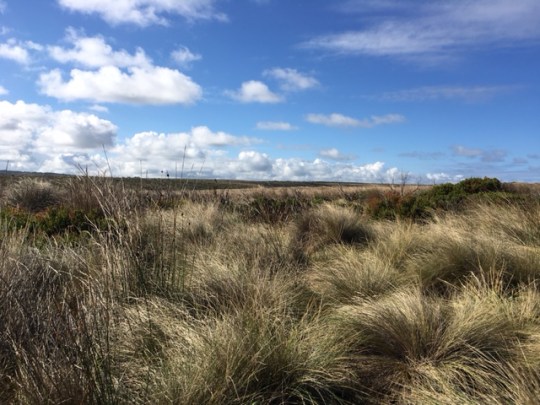 V Lock Ard Gorge 4.25.17