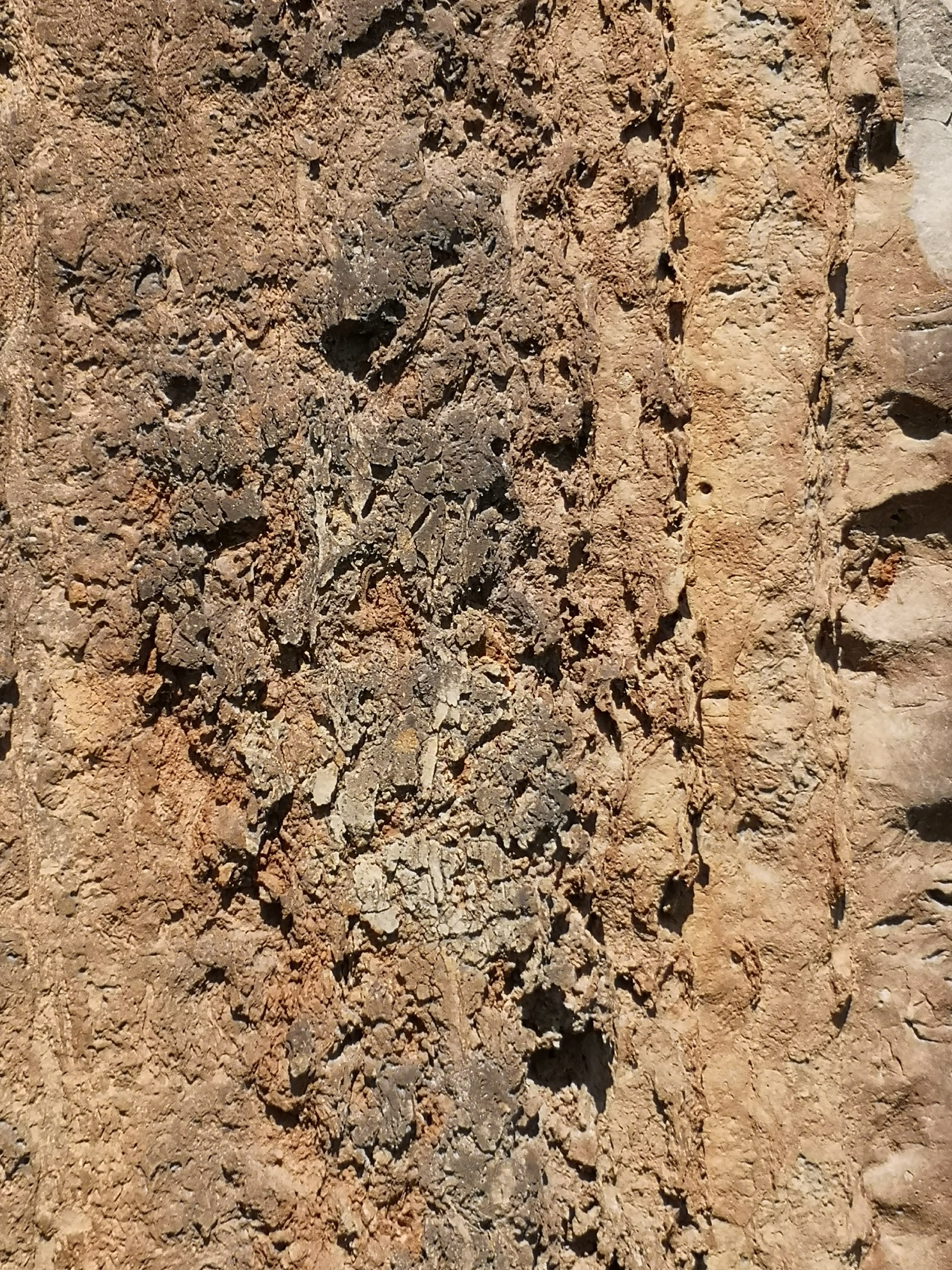 IMG_20190816_105424_resized_20190816_122629167