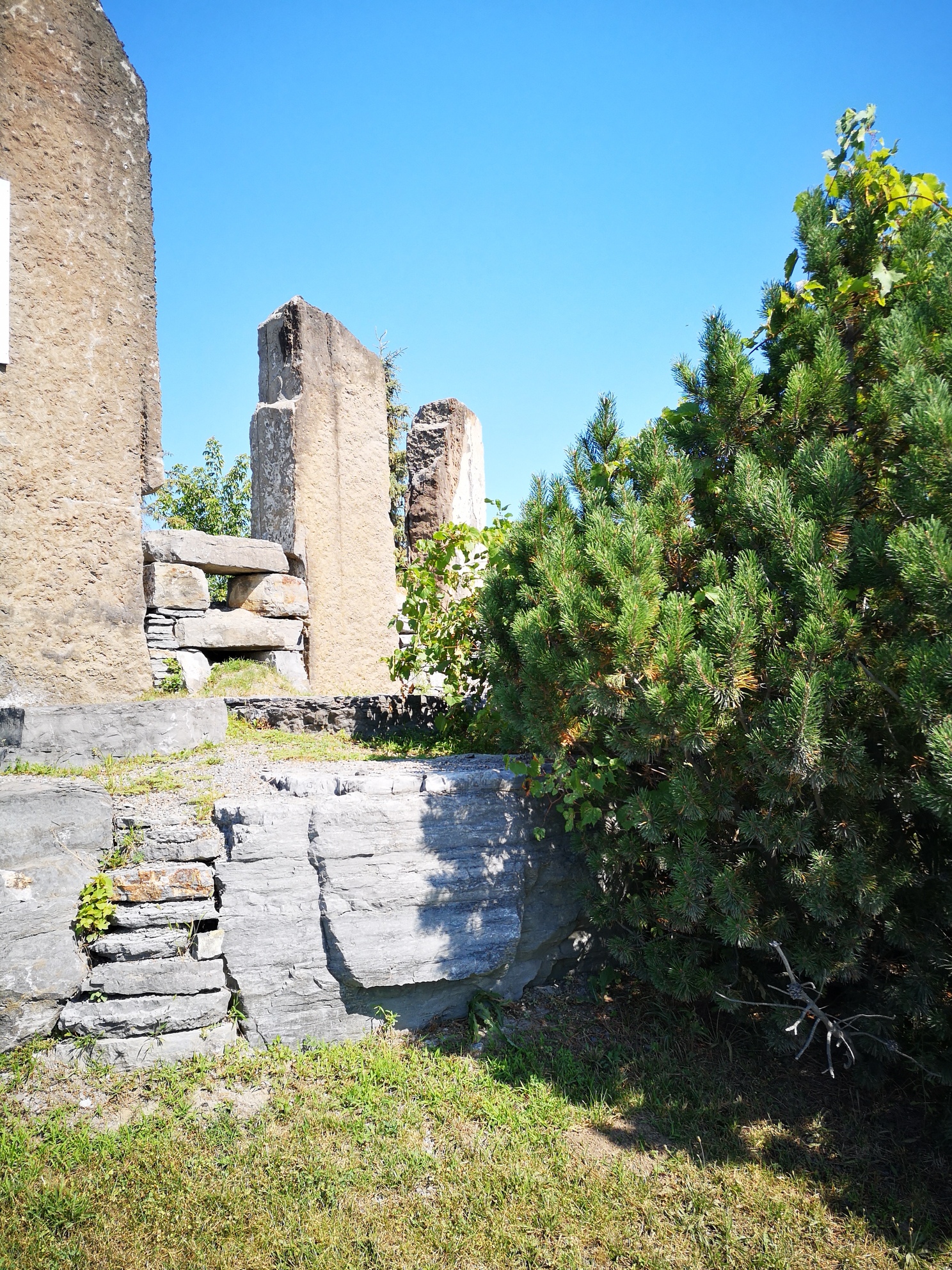 IMG_20190816_105857_resized_20190816_122054113