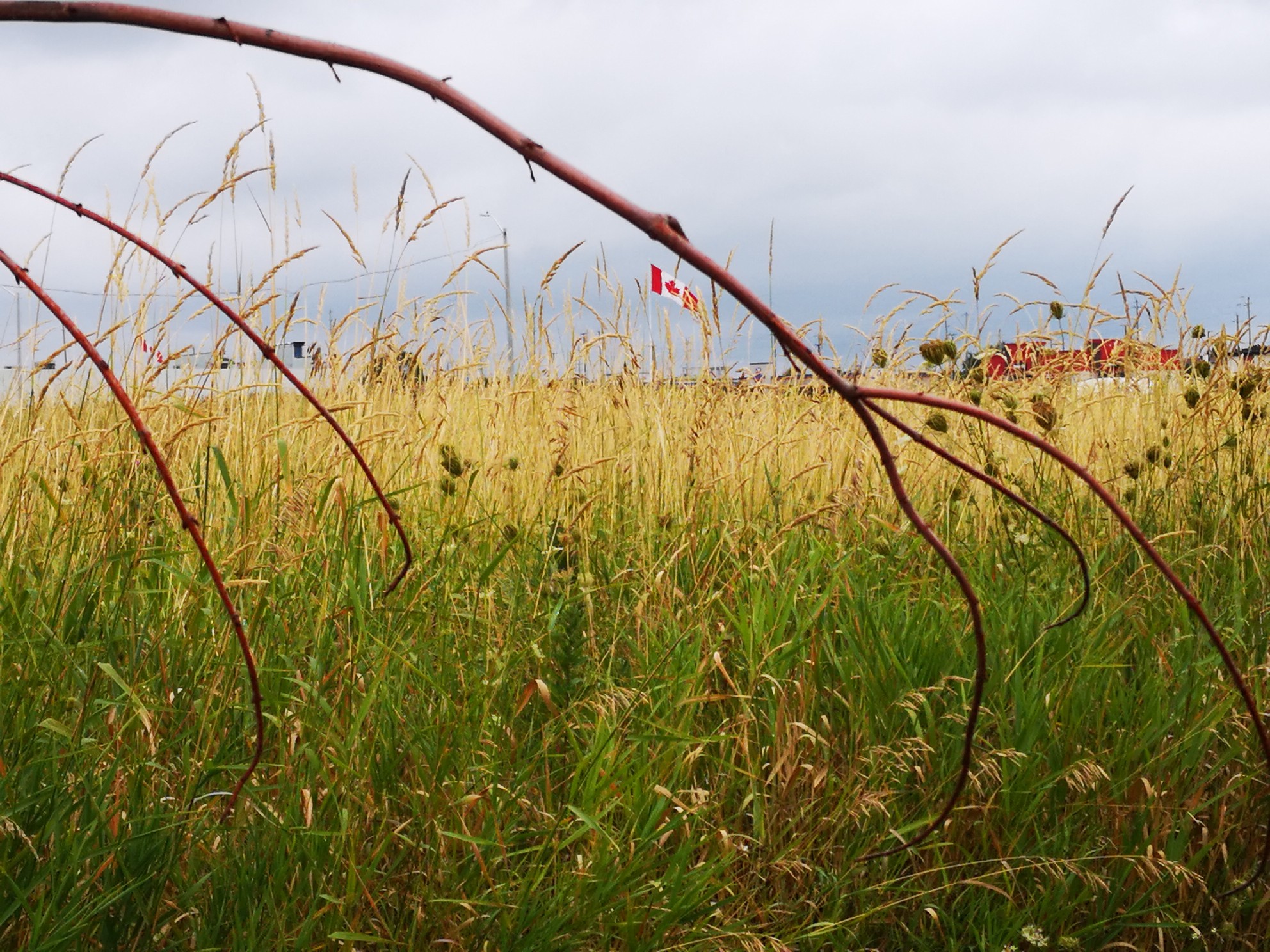 IMG_20190817_103027_BURST001_COVER_resized_20190817_030301047