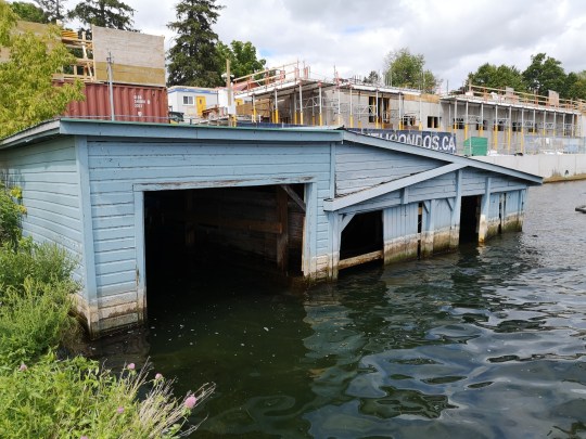 IMG_20190824_135219_resized_20190824_072010640