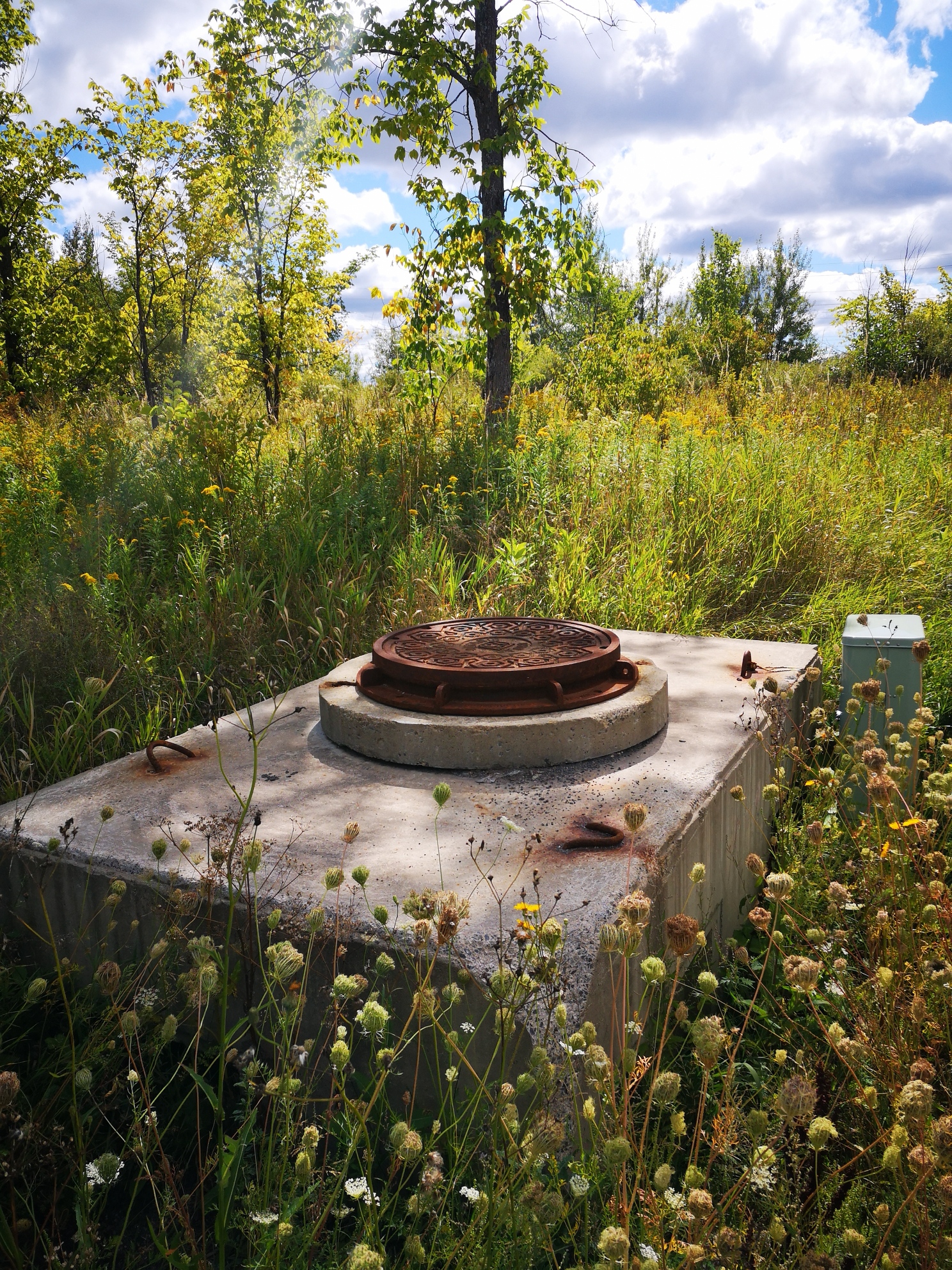 IMG_20190831_112725_resized_20190901_123149043