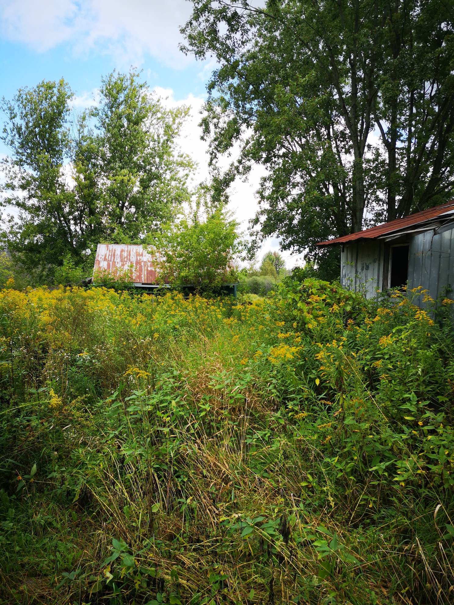 IMG_20190904_102030_resized_20190904_033601409