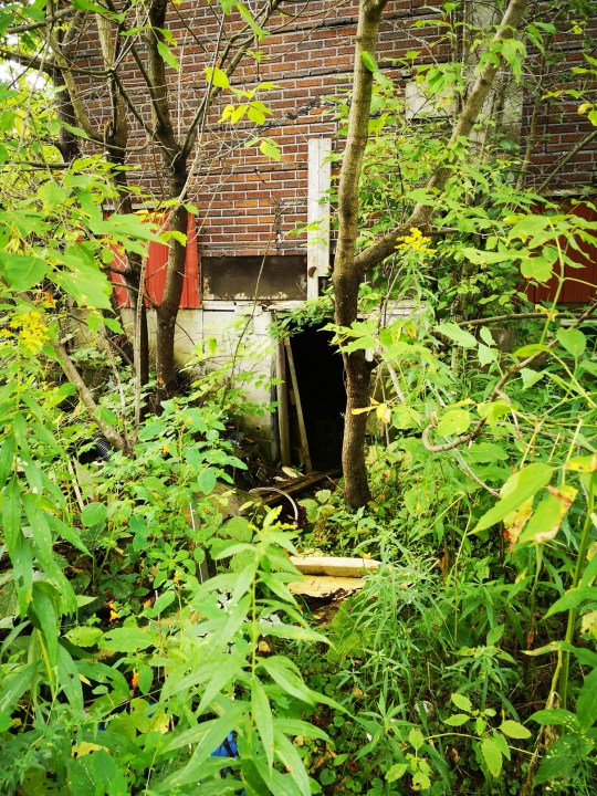 IMG_20190904_102250_resized_20190904_033352303